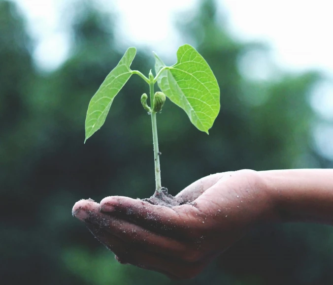 Proč investovat do ekologických gadgetů?
