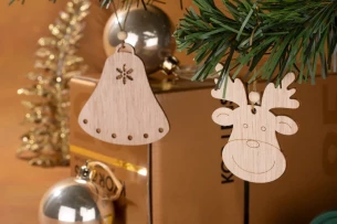 Přívěsek RENS - Přírodní